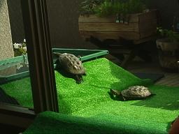 �����`���