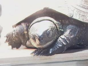 �^�������A���_���H�H