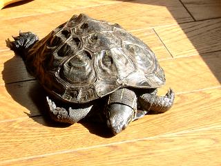 ���������`